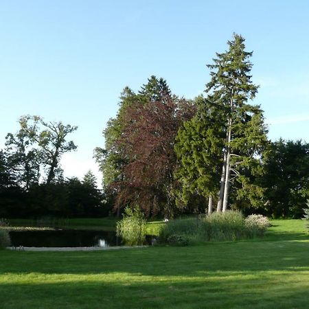 Miodowy Dwor Villa Rusinowo  Exterior photo